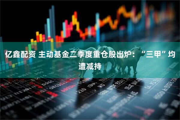 亿鑫配资 主动基金二季度重仓股出炉：“三甲”均遭减持