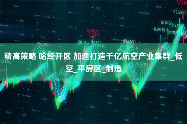 精高策略 哈经开区 加速打造千亿航空产业集群_低空_平房区_制造